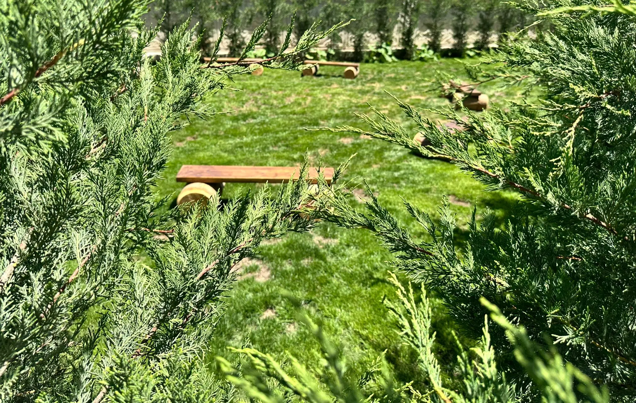 Açı Eryaman Koleji – Garden & Nature – Garden bench