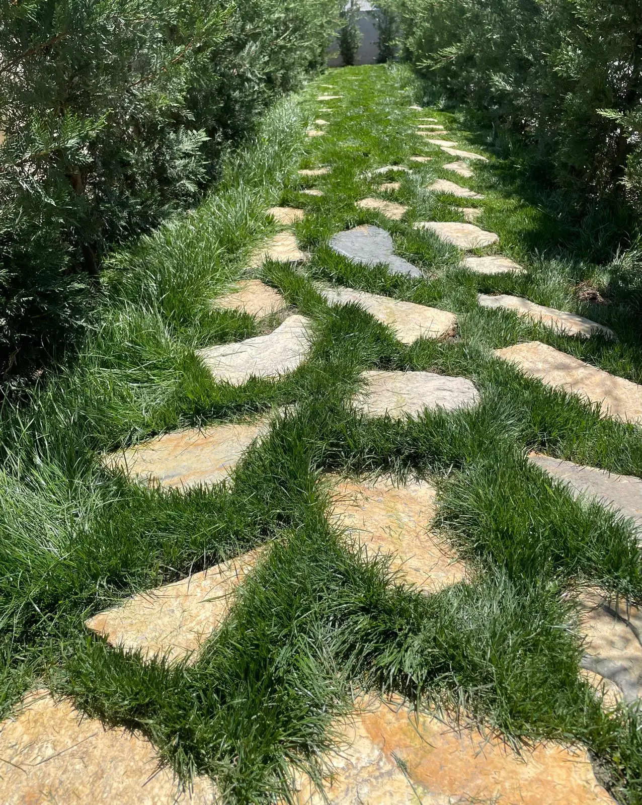 Açı Eryaman Koleji – Garden & Nature – Natural stone path