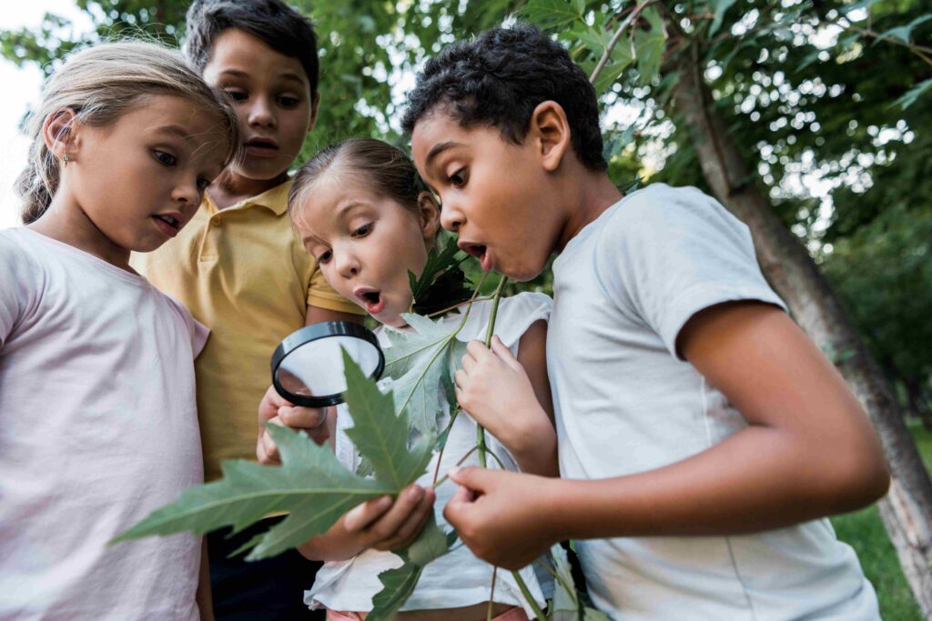 Children examining a leaf with a magnifying glass